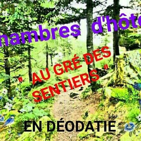 Au Gre Des Sentiers Chez Marie Et Pierre Bed & Breakfast Saint-Die-des-Vosges Екстериор снимка