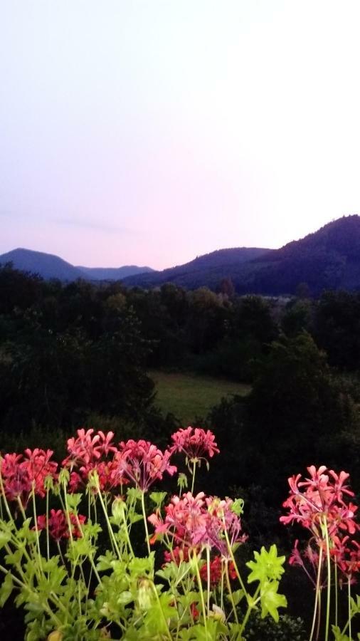 Au Gre Des Sentiers Chez Marie Et Pierre Bed & Breakfast Saint-Die-des-Vosges Екстериор снимка