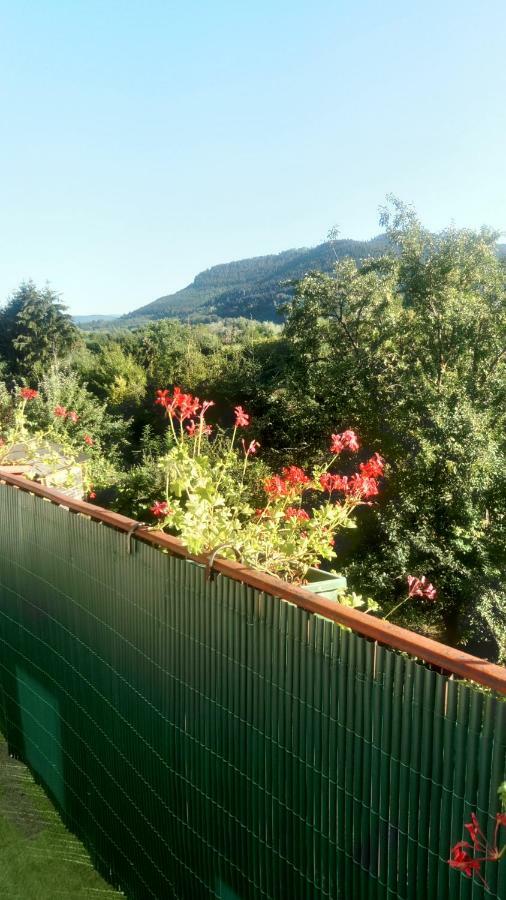 Au Gre Des Sentiers Chez Marie Et Pierre Bed & Breakfast Saint-Die-des-Vosges Екстериор снимка