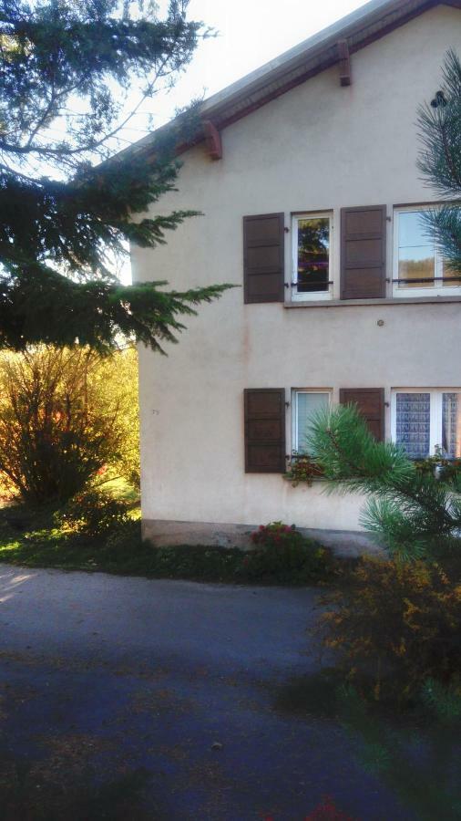 Au Gre Des Sentiers Chez Marie Et Pierre Bed & Breakfast Saint-Die-des-Vosges Екстериор снимка